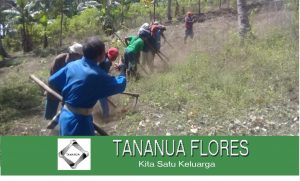 Petani Desa Randoria Kecamatan Detusoko Kabupaten Ende Lakukan Konservasi Tanah dan Air